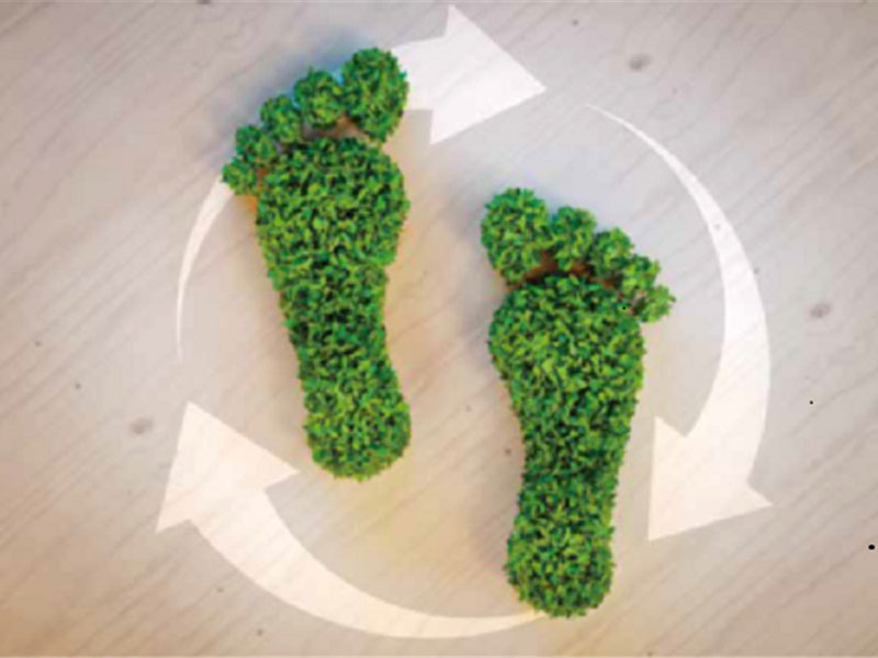 Carbon Footprint Service