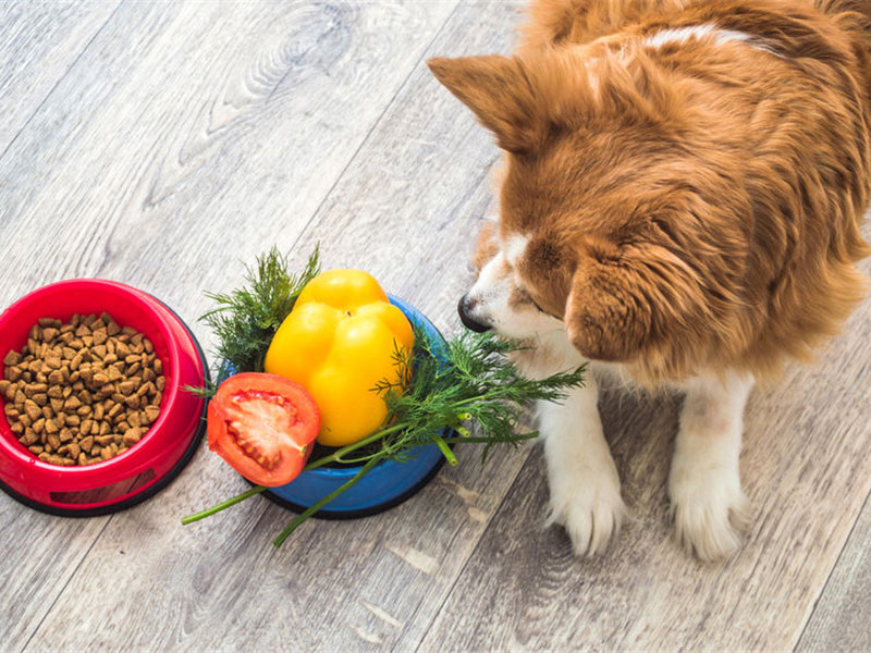 飼料類藥物殘留檢測(cè)