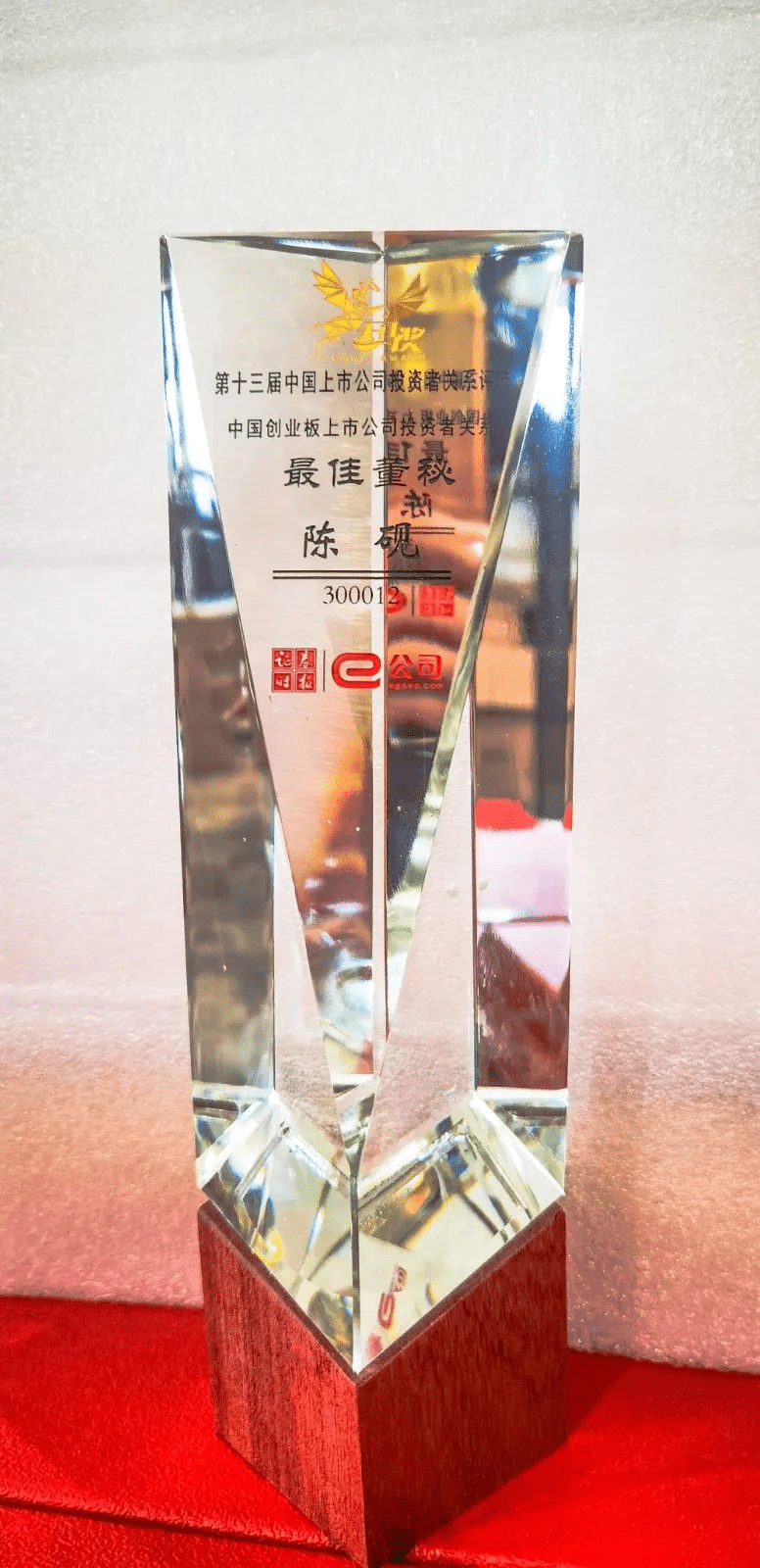 中國(guó)上市公司投資者關(guān)系最佳董秘獎(jiǎng)