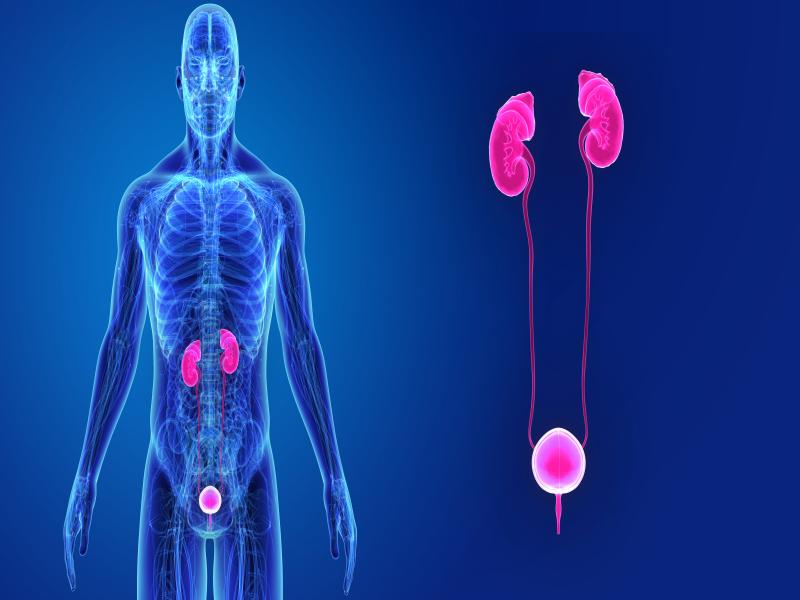 腎癌個(gè)性化用藥解決方案