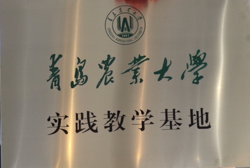 CTI華測檢測x青島農(nóng)業(yè)大學(xué)產(chǎn)學(xué)研合作基地合作
