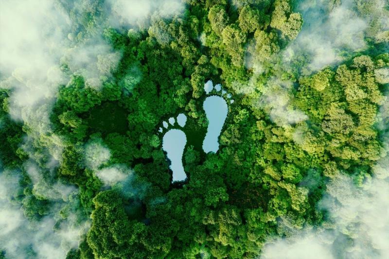 碳索新質 綠色發(fā)展丨粵港澳大灣區(qū)綠色低碳政策介紹暨產品碳足跡標識認證宣貫培訓會